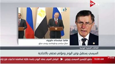 سياسي روسي: السيسي وبوتين سيتفقان على إعادة الرحلات الجوية لمصر