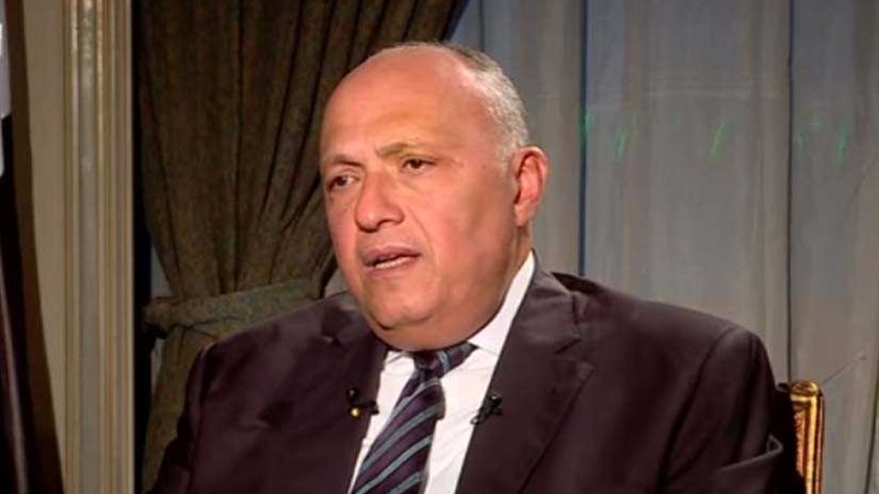 شكري: مصر «الجائزة