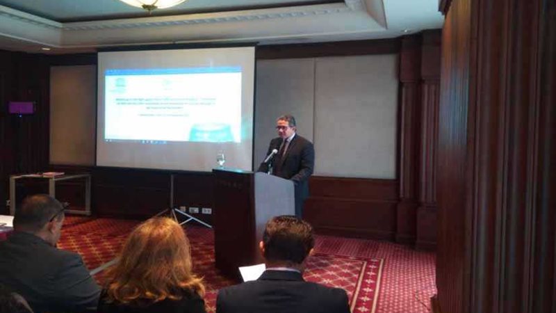 العناني يفتتح ورشة