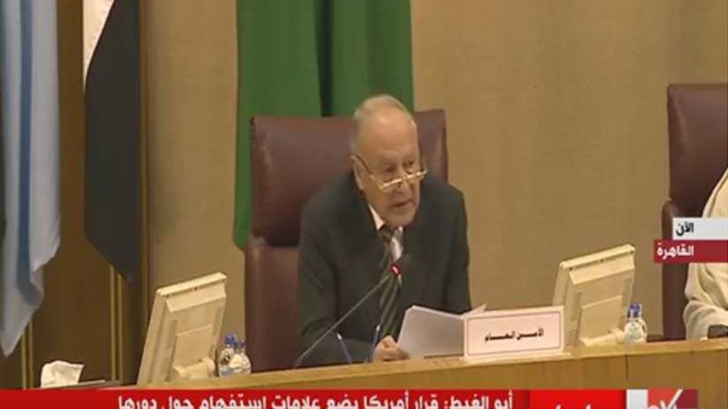 أبو الغيط: يجب العمل