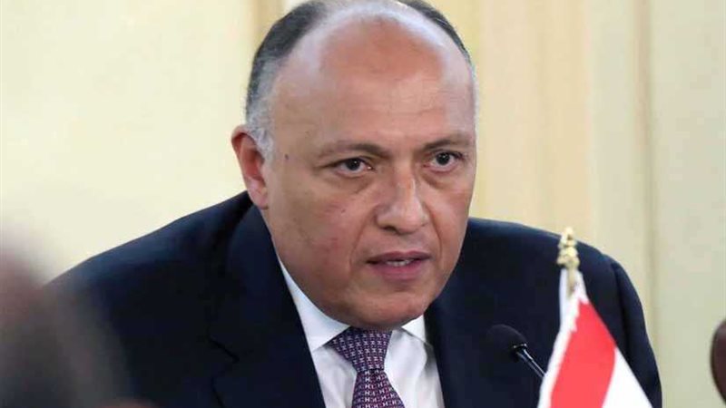 شكري لـروسيا اليوم: