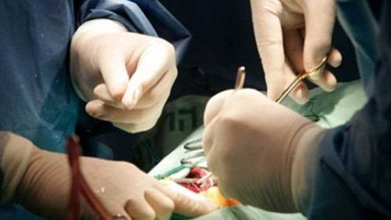 التضامن توضح حقيقة