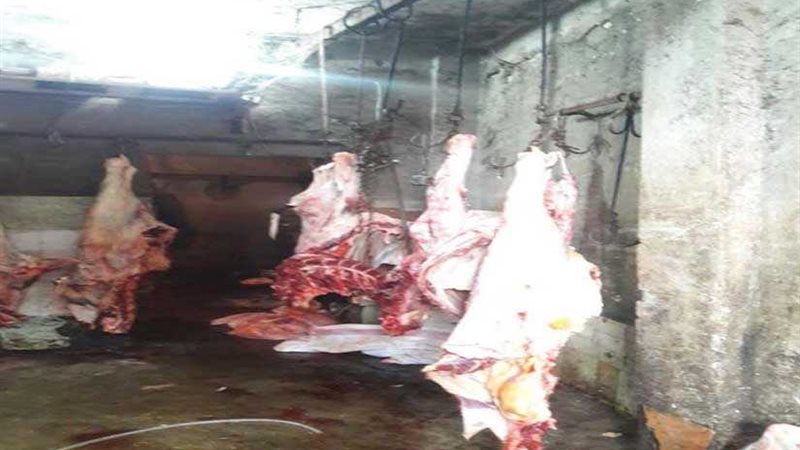 ضبط 925 كيلو لحومًا