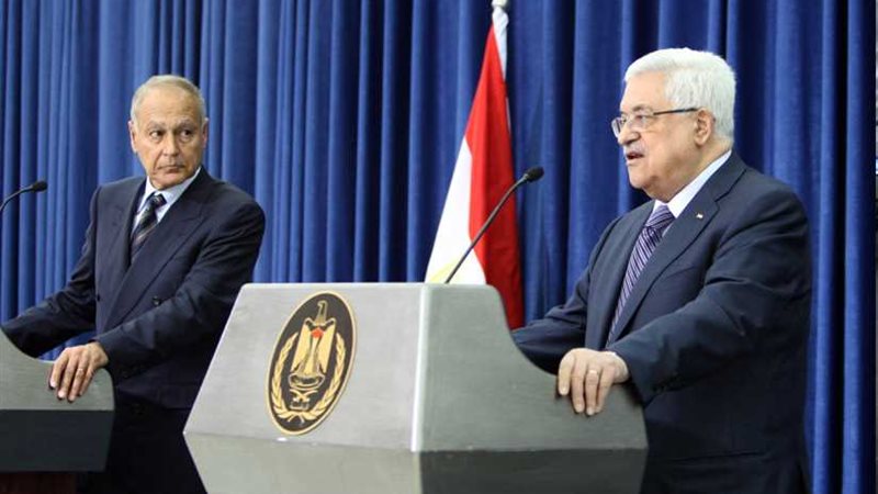 أبو الغيط يبحث مع