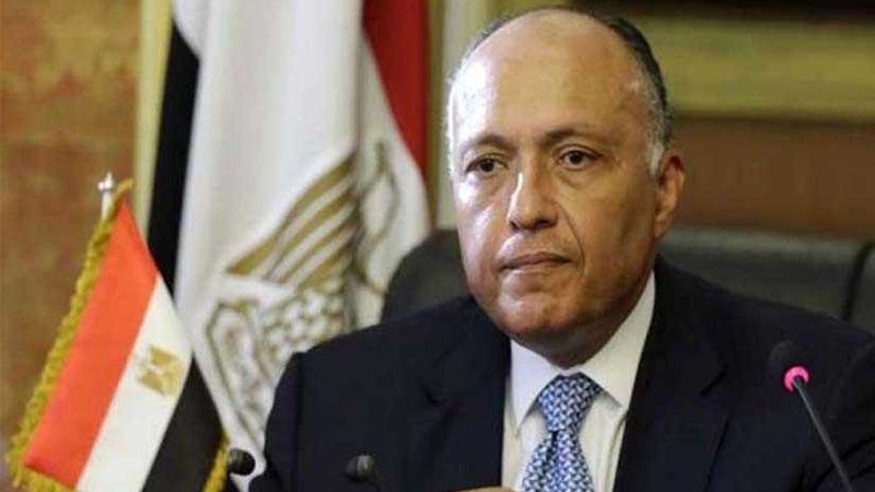 شكري يرأس الوفد المصري