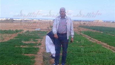 الزراعيين تدعم مزارعي سيوة بمبيدات مكافحة سوسة النخيل