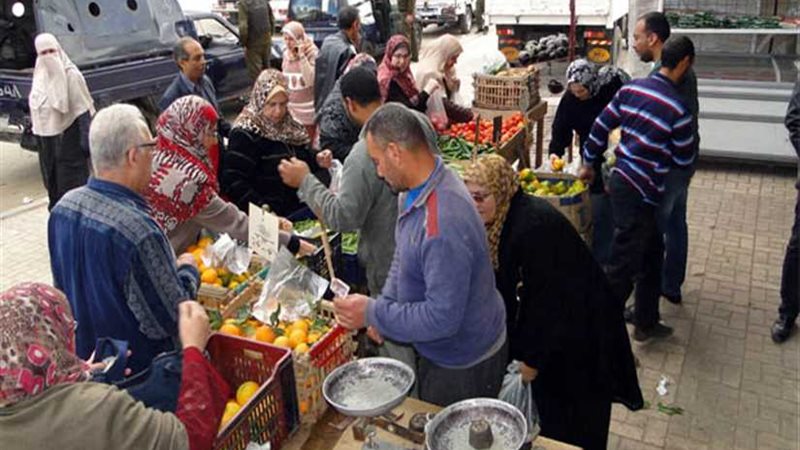 ضخ كميات من الخضروات