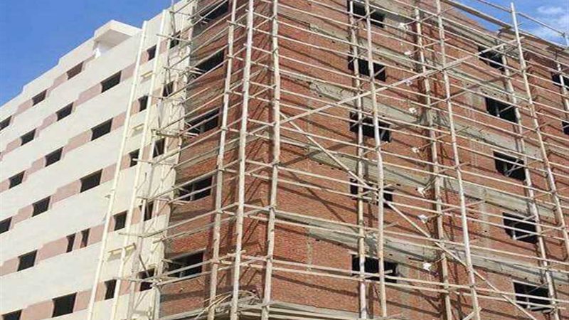 الكبد المصرى تستعد