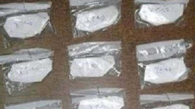 الغربية.. ضبط عاطل بحوزته 300 جرام هيروين