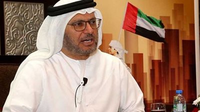 قرقاش : تصفية قيادات 