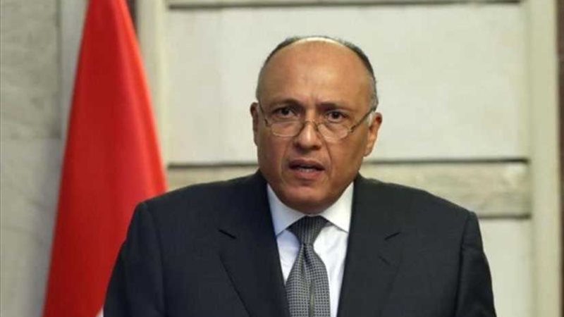 شكري يشارك في اجتماع