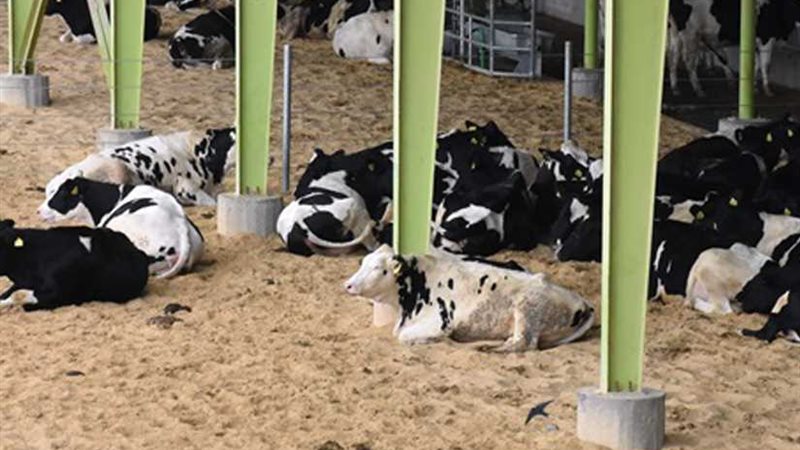 تحصين 168 ألفا و469