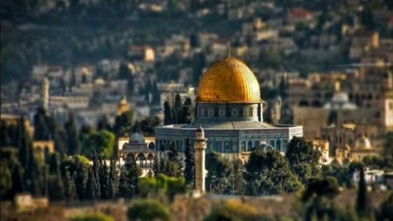 بث تليفزيوني وإذاعي