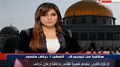 مندوب فلسطين بالأمم المتحدة: مصر رفضت قرار ترامب (فيديو)