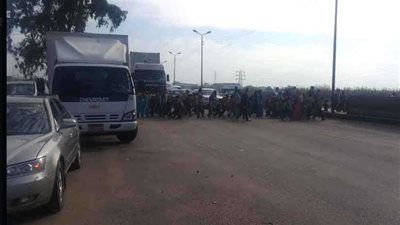 تلاميذ يواجهون الموت يوميًا ويعبرون الطريق الزراعي (صور)