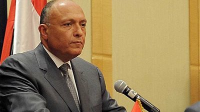 شكري يؤكد ضرورة التحسب لعودة أعداد كبيرة من إرهابيي 