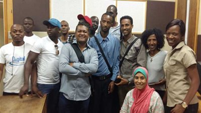 الإعلاميون الأفارقة فى ورشة عمل الكترونية عن 