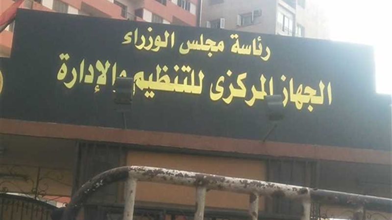 التنظيم والإدارة