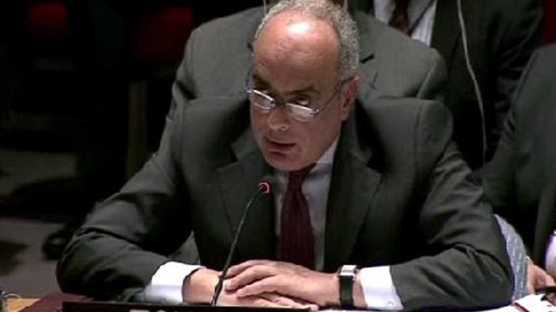 مندوب مصر بالأمم