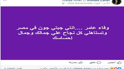 أحمد زاهر لوفاء عامر: 