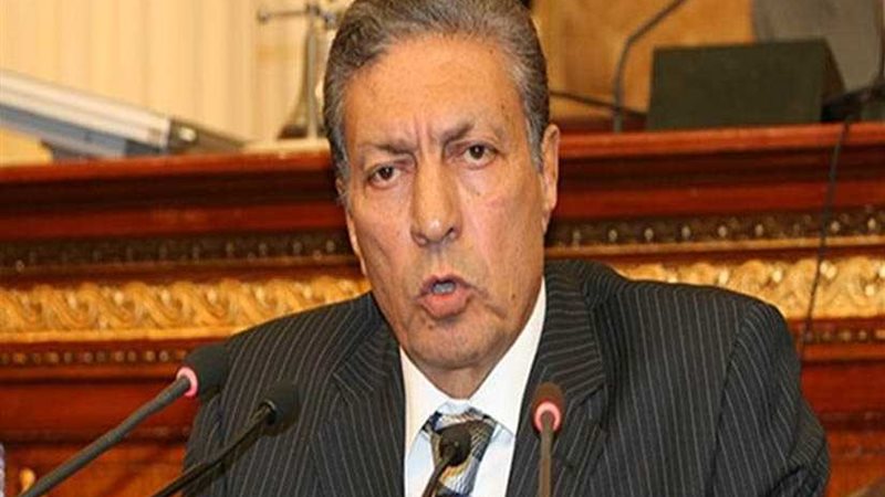 الشؤون العربية بالنواب: