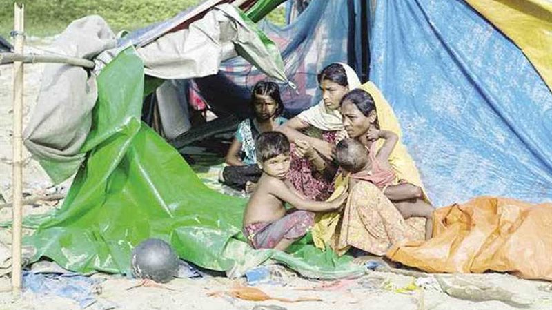 الأمم المتحدة تكشف: