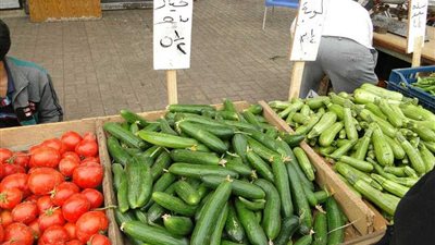 ضخ كميات من الخضروات والفواكه بأسعار مخفضة في منافذ البيع بدمنهور