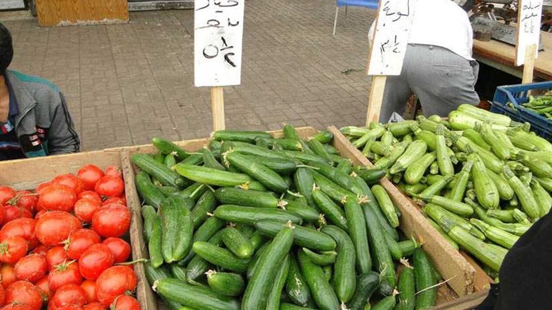 ضخ كميات من الخضروات