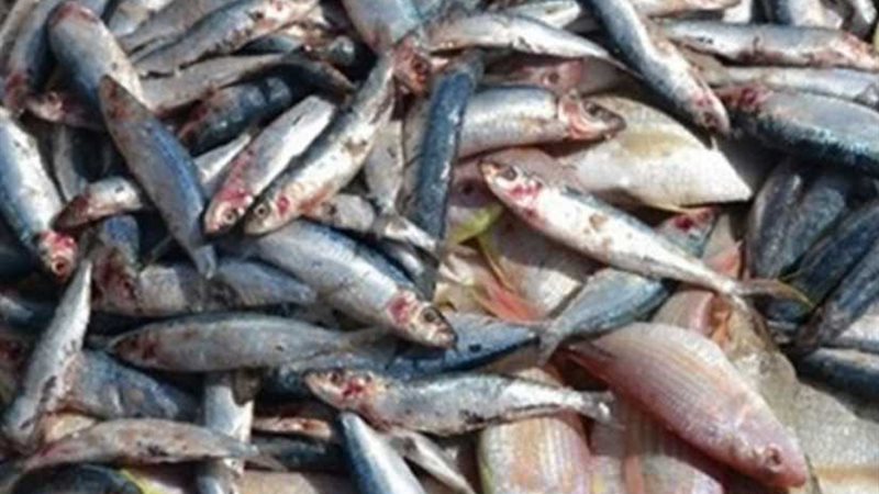 وفاة رجل وسيدة وتسمم