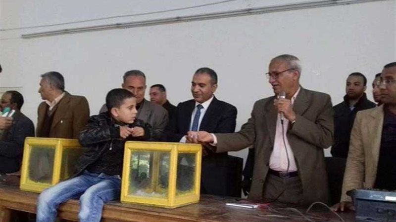 المنيا.. تسليم 80