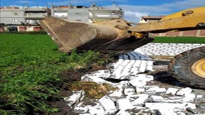 إزالة التعديات على أملاك الدولة بدمنهور وأبو حمص 