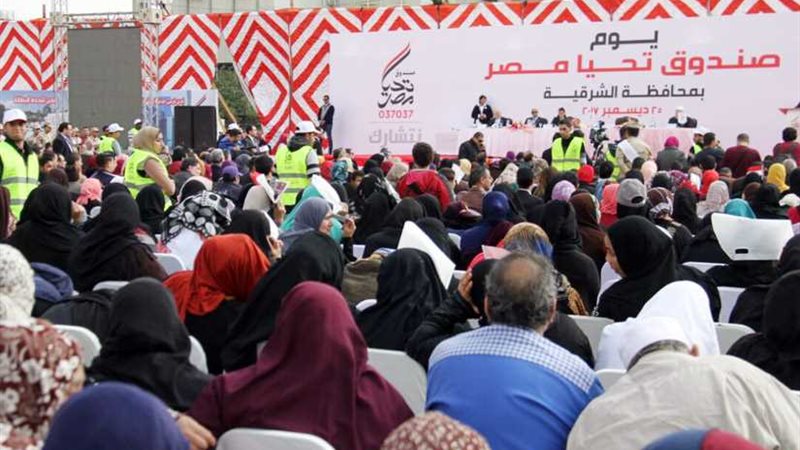 صندوق تحيا مصر يحتفل