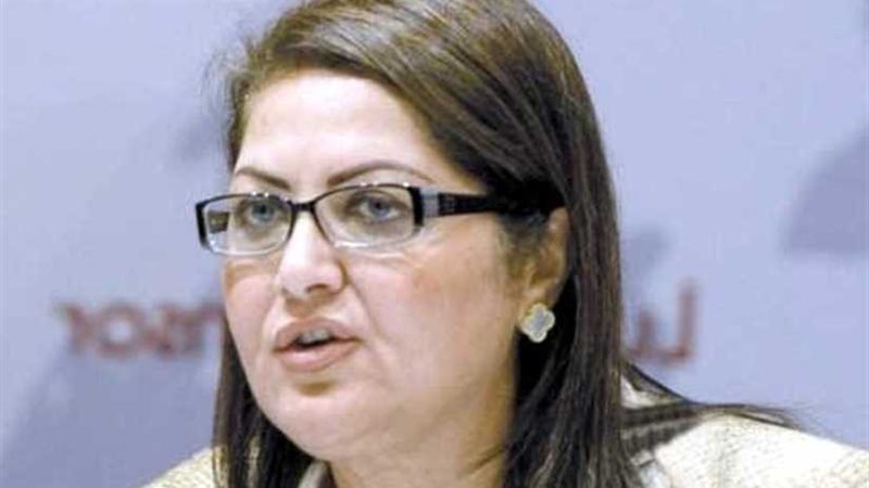 وزيرة التخطيط: إلزام