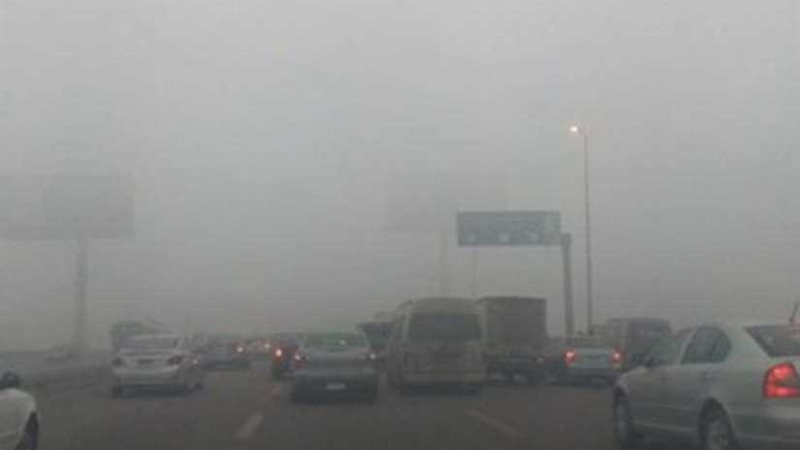 بالفيديو| تعرف على