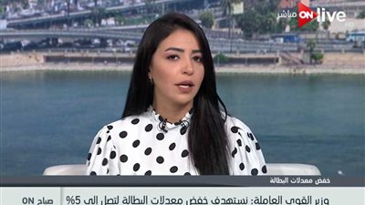 وزير القوى العاملة: انخفاض نسبة البطالة لـ 11% ونعمل على تقليلها