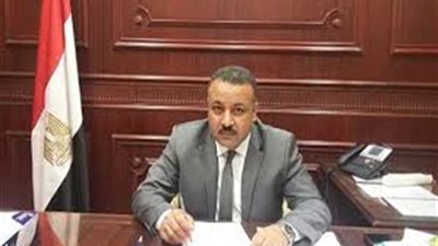 برلمانية مستقبل وطن: 