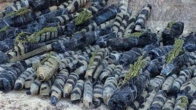 ضبط 4 أطنان بانجو بمزرعتين في أسيوط