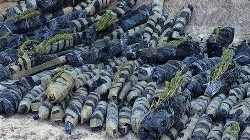 ضبط 4 أطنان بانجو