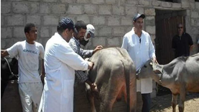 قوافل بيطرية لعلاج