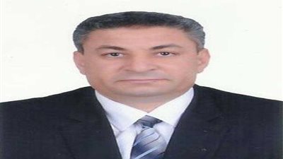 الانتهاء من زراعة 117 ألف فدان قمح بالمنوفية