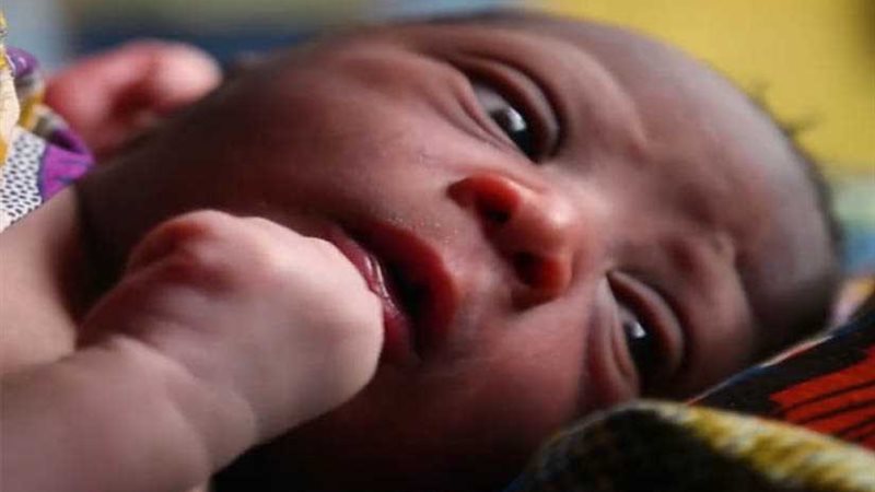 (فيديو جراف).. 386