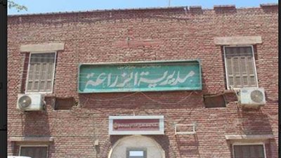 زراعة 135 ألفًا و146 فدان قمح وقصب وبنجر ببني سويف