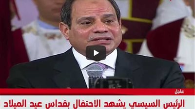 السيسي: لا يمكن تقسيمنا ونسعى لإسعاد جميع المصريين
