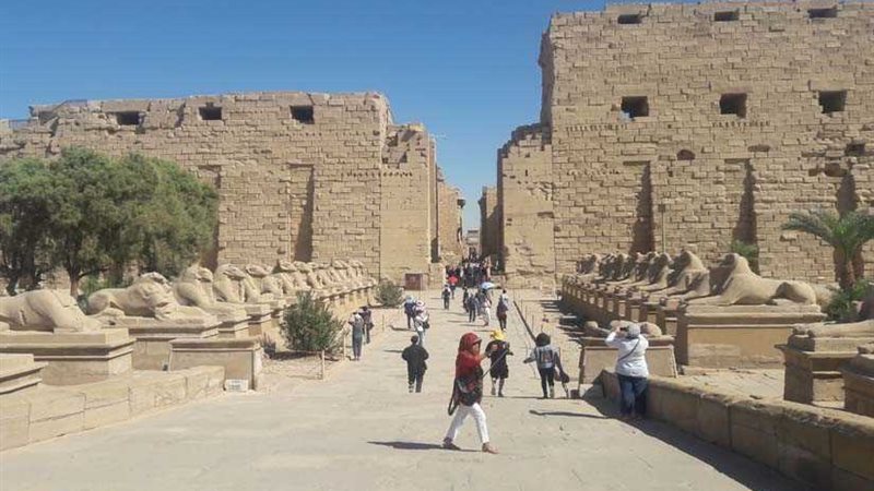 اليونسكو تساهم فى