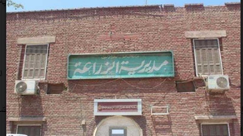 زراعة 135 ألفًا و146