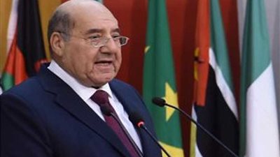 رئيس المحكمة الدستورية: مجلس الدولة صرح للحقوق والحريات