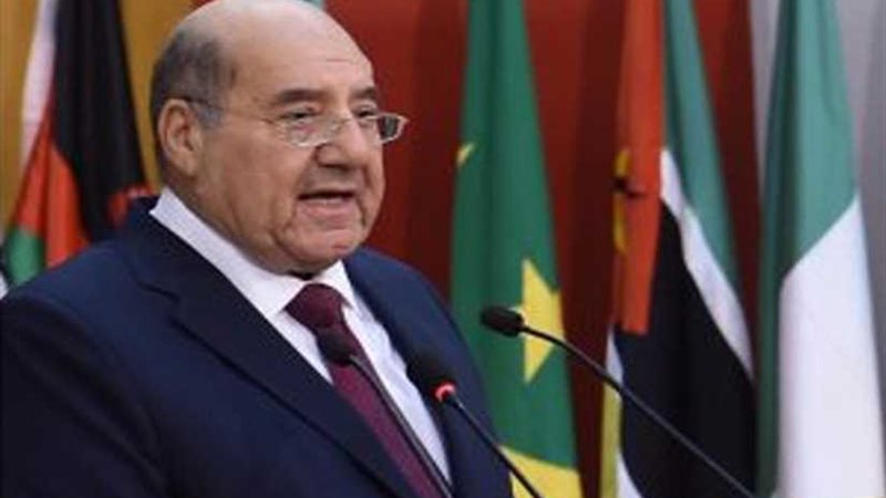 رئيس المحكمة الدستورية: