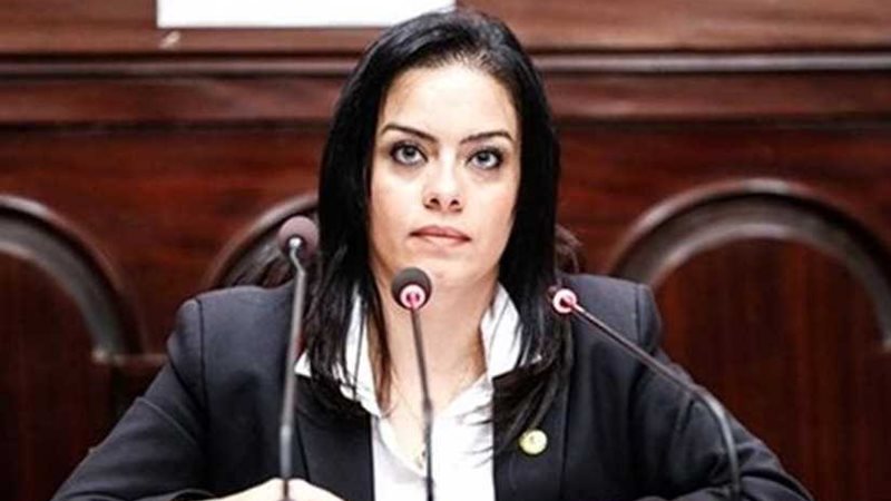 سيلفيا نبيل: خطة