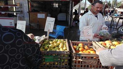 ضخ كميات من الفواكه والخضروات بمنافذ بيع السلع الغذائية بدمنهور
