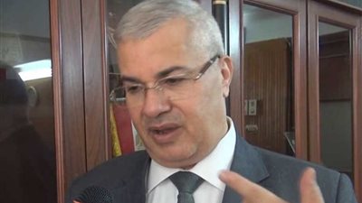 «الدستورية»: الإشراف القضائي ضمانة أساسية لنزاهة الانتخابات